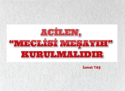 ACİLEN, “MECLİSİ MEŞAYIH” KURULMALIDIR